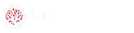 iSense International